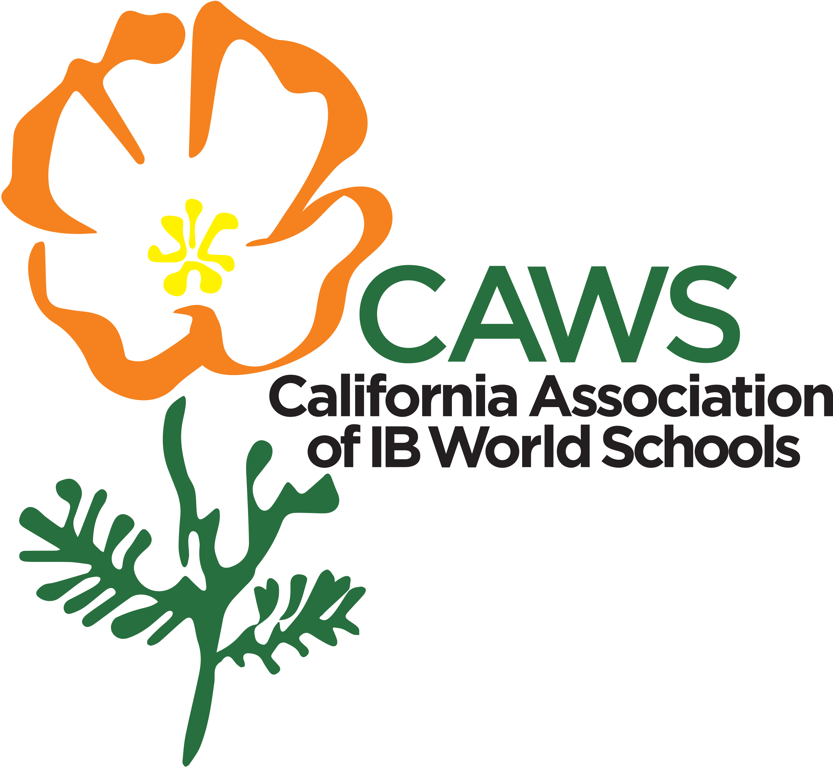 CAWS-Logo