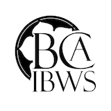 8. BCAIBWS 1.png
