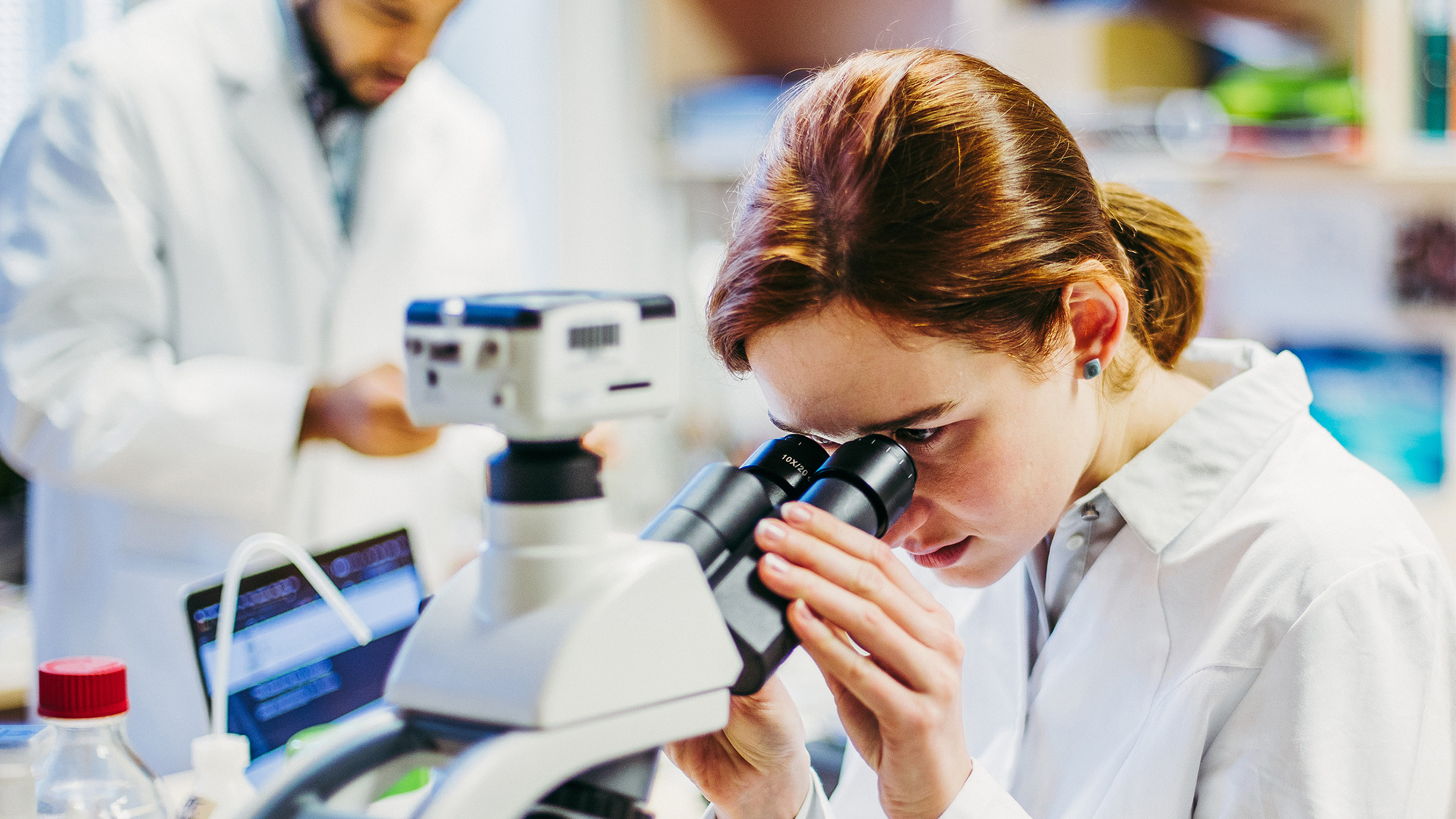 Mise à jour du programme d’études de biologie International Baccalaureate®