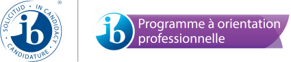 6811_IB-candidacy-CP-f-icon-size.png.