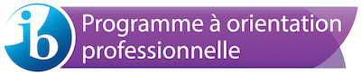 Programme à orientation professionnelle 