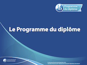 Programme du diplôme