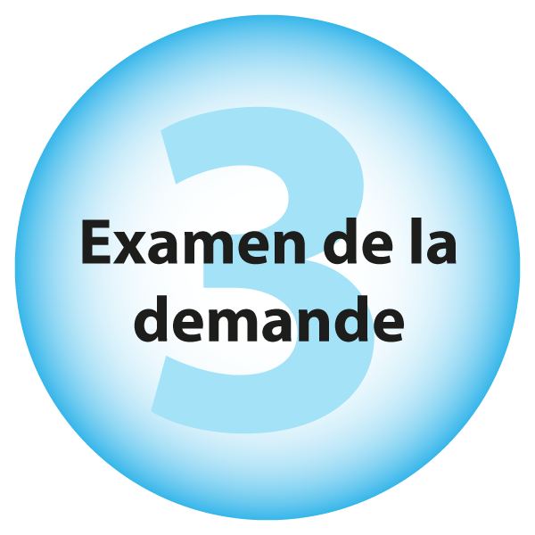 3. Examen de la demande